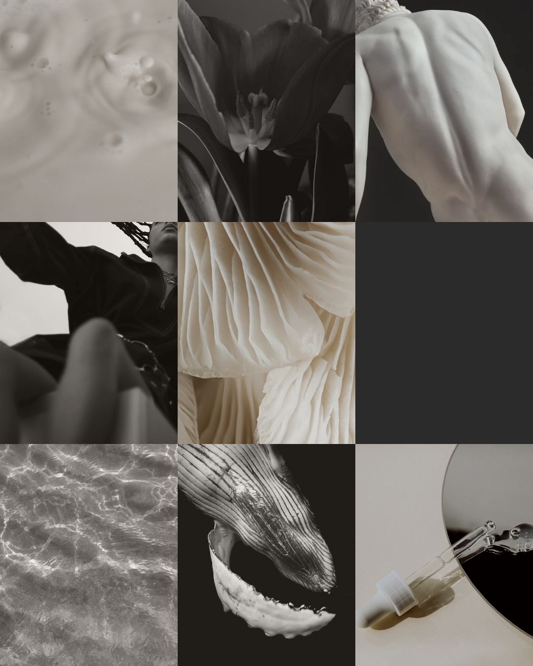 Beige aesthetic mood board created on iPhone with Aethel